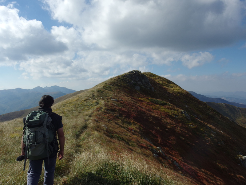 Pubblicato su Nature lo studio 