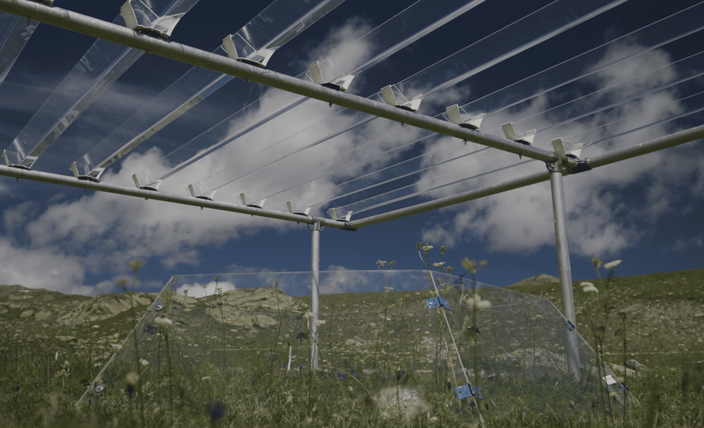 Nuova ricerca sugli effetti della siccità disponibile su Nature Ecology & Evolution