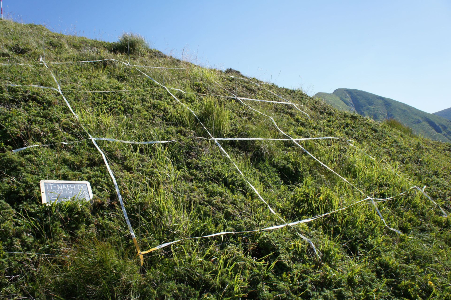 In tempo di cambiamenti climatici è 